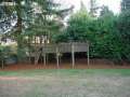 Grape Arbor