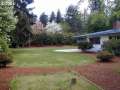 Side Yard